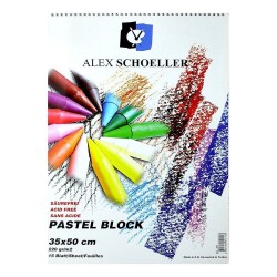 Alex Schoeller Artist Pastel Fon Blok 220 gr. 35x50 cm. 15 Sayfa - 1