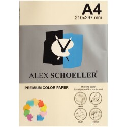 Alex Schoeller Renkli Fotokopi Kağıdı A4 500'lü Paket ŞAMPANYA ALX-500 - 1