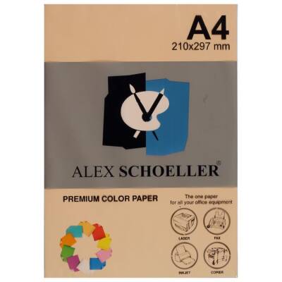 Alex Schoeller Renkli Fotokopi Kağıdı A4 500'lü Paket SOMON ALX-550 - 1