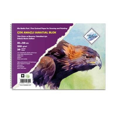 Art Liva Çok Amaçlı Sanatsal Resim Defteri Dokulu 350 gr 20 yp 35x50 cm - 1