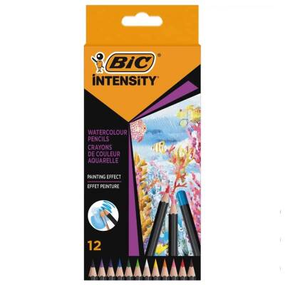 Bic Intensity Aquacouleur Kuru Sulu Boya Kalemi 12 Renk - 1