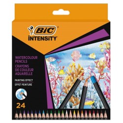 Bic Intensity Aquacouleur Kuru Sulu Boya Kalemi 24 Renk - 1