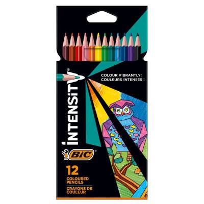 Bic Intensity Kuru Boya Kalemi 12 Renk - 1