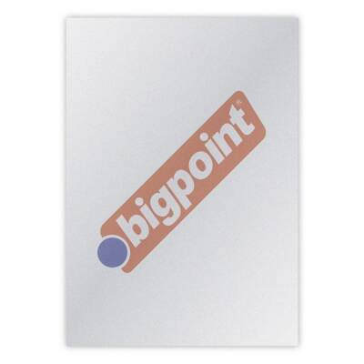 Bigpoint A4 Cilt Kapağı 150 Mikron Buzlu Şeffaf 100'lü Paket - 1