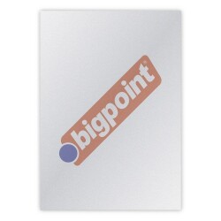 Bigpoint A4 PP Cilt Kapağı 450 Mikron Buzlu Şeffaf 50'li Paket - 1