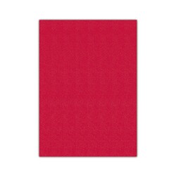 Bigpoint Eva 50x70cm Kırmızı 10'lu Paket - 1