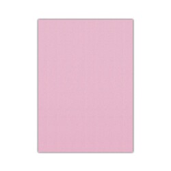 Bigpoint Eva 50x70cm Pembe 10'lu Paket - 1
