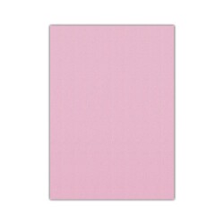 Bigpoint Eva 50x70cm Pembe 10'lu Paket - 1