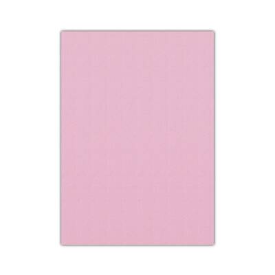 Bigpoint Eva 50x70cm Pembe 10'lu Paket - 1