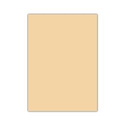 Bigpoint Eva 50x70cm Ten Rengi 10'lu Paket - 1