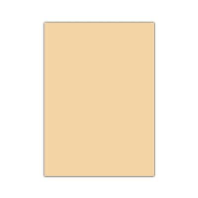 Bigpoint Eva 50x70cm Ten Rengi 10'lu Paket - 1