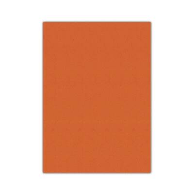 Bigpoint Eva 50x70cm Turuncu 10'lu Paket - 1