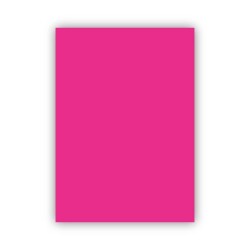 Bigpoint Fon Kartonu 50x70cm 120 Gram Pembe 100'lü Paket - 1