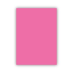 Bigpoint Fon Kartonu 50x70cm 160 Gram Açık Pembe 100'lü Paket - 1