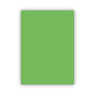 Bigpoint Fon Kartonu 50x70cm 160 Gram Açık Yeşil 100'lü Paket - 1