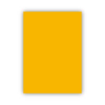 Bigpoint Fon Kartonu 50x70cm 160 Gram Altın Sarısı 100'lü Paket - 1