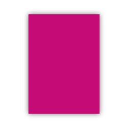 Bigpoint Fon Kartonu 50x70cm 160 Gram Fuchsia 100'lü Paket - 1