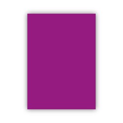 Bigpoint Fon Kartonu 50x70cm 160 Gram Mor 100'lü Paket - 1