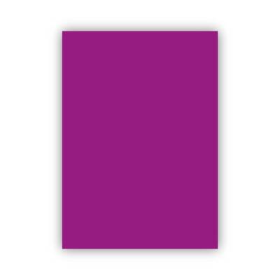 Bigpoint Fon Kartonu 50x70cm 160 Gram Mor 100'lü Paket - 1