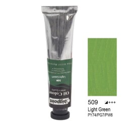 Bigpoint Yağlı Boya 45 ml. 509 Light Green - 1