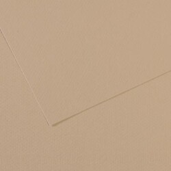 Canson Mi-Teintes Dokulu Fon Kartonu 50x65 cm. 25'li Paket 343 Trianon Grey - 1