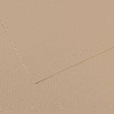 Canson Mi-Teintes Dokulu Fon Kartonu 50x65 cm. 25'li Paket 343 Trianon Grey - 1
