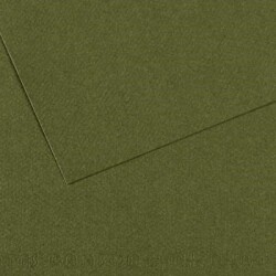 Canson Mi-Teintes Dokulu Fon Kartonu 50x65 cm. 25'li Paket 448 Sea Green - 1