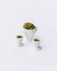 Çiçekli Saksı 1/75 3 Adet - Eshel