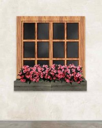 Dikdörtgen T Pencere 1/50 4 Adet - Eshel