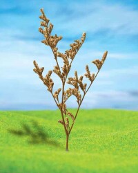 Doğal Ağaç Açık Kahve 12 cm 6 Adet - 1