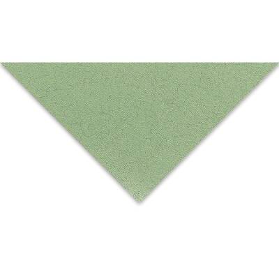 Fabriano Tiziano Çok Amaçlı Kağıt 160 gr. 50x65 cm 10'lu Paket ADAÇAYI - SALVIA - 1
