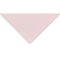 Fabriano Tiziano Çok Amaçlı Kağıt 160 gr. 50x65 cm 10'lu Paket GÜL - ROSA - 1