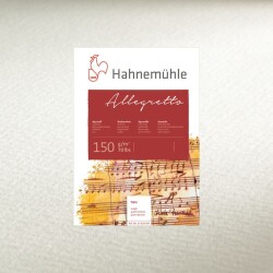 Hahnemühle Allegretto Suluboya Kağıdı 150 gr. 1,25x20 m. Rülo - 1