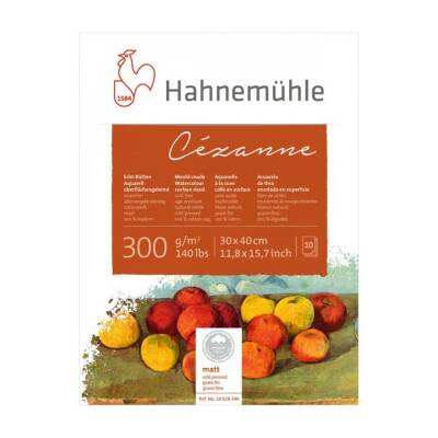 Hahnemühle Cezanne Matt Suluboya Blok 30x40 cm. 300 gr. 10 yp. - 1