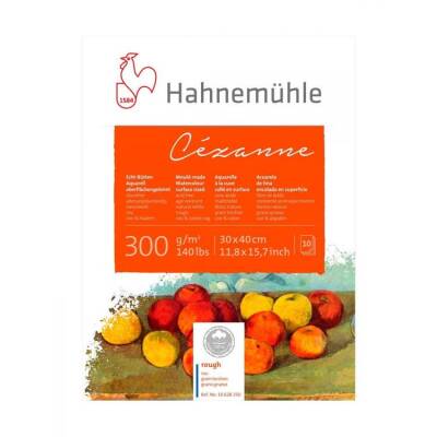 Hahnemühle Cezanne Rough Suluboya Blok 30x40 cm. 300 gr. 10 yp. - 1