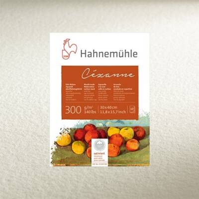 Hahnemühle Cezanne Rough Suluboya Kağıdı 300 gr. 1,25x10 metre Rulo - 1