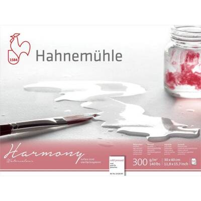 Hahnemühle Harmony Cold Pressed Suluboya Blok 30x40 cm. 300 gr. 12 yp. - 1