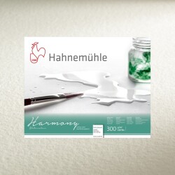 Hahnemühle Harmony Hot Pressed Suluboya Kağıdı 300 gr. 50x65 cm. 10'lu Paket - 1