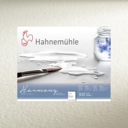 Hahnemühle Harmony Rough Suluboya Kağıdı 300 gr. 50x65 cm. 10'lu Paket - 1