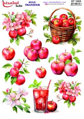 İstanbul Hobi Sulu Transfer 25x35 cm ST 1003 - 1