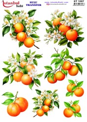 İstanbul Hobi Sulu Transfer 25x35 cm ST 1007 - 1