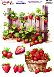 İstanbul Hobi Sulu Transfer 25x35 cm ST 1023 - 1