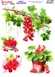 İstanbul Hobi Sulu Transfer 25x35 cm ST 1058 - 1