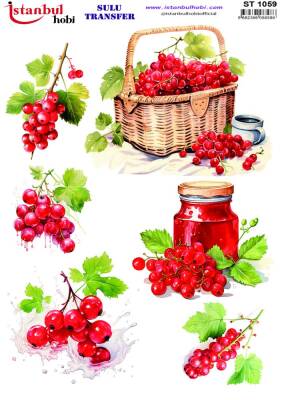 İstanbul Hobi Sulu Transfer 25x35 cm ST 1059 - 1