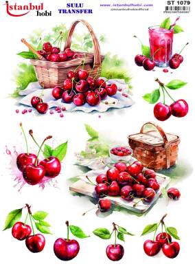 İstanbul Hobi Sulu Transfer 25x35 cm ST 1079 - 1
