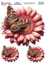 İstanbul Hobi Sulu Transfer 25x35 cm ST 1181 - 1