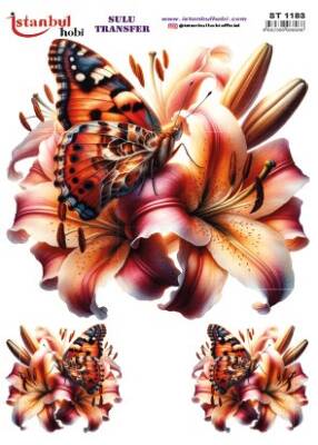 İstanbul Hobi Sulu Transfer 25x35 cm ST 1183 - 1
