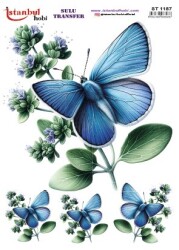 İstanbul Hobi Sulu Transfer 25x35 cm ST 1187 - 1