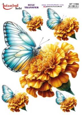 İstanbul Hobi Sulu Transfer 25x35 cm ST 1195 - 1