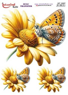 İstanbul Hobi Sulu Transfer 25x35 cm ST 1227 - 1